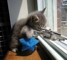 Katte ville v�lge...riffelmetoden.